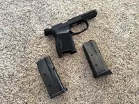 P365 frame and 2 - 10rd Mags