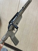 IMG_2715.jpeg