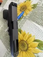 G34 4.webp