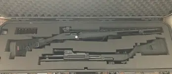 shotguns.webp shotguns.webp