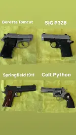 Multiple Handguns WTS - Orange County