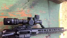 Palmetto State 14.5 complete upper with Vortex Venom 1-6 + Red dot