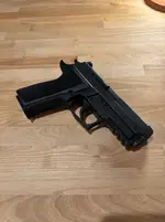 Sig P229 Enhanced Elite - Lake Arrowhead
