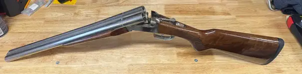 Stoeger coach gun