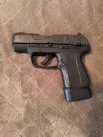 Ruger Max 9  Los Angeles County, Bellflower