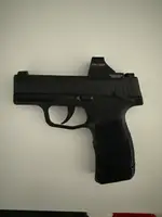 P365