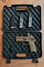 SIG P320 M18 w/ Leupold Delta Point Pro