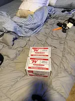 Winchester 55 grain fmj 556
