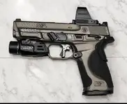Metal M&P 2.0 4.25" Ported W/Apex Trigger and other Upgrades