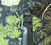 43x sights.webp