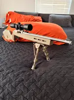 Ruger 10/22 FDE