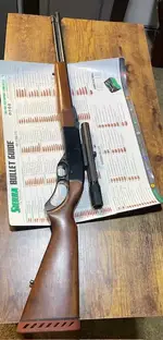 Winchester 255 lever action 22WMR