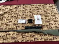Ruger 2.webp
