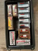 Ruger 3.webp