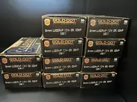 Speer Gold Dot 9mm +P 124gr JHP 480 Rounds