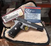 Colt(2).webp