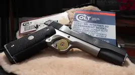 Colt3.webp
