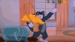 IMG_7874.gif