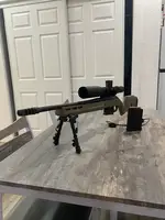 Ruger American predator in 308
