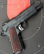 Springfield Professional - Bay Area