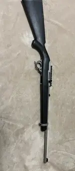 Ruger 10/22 carbine