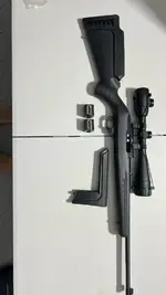 Ruger 10/22 - SFV, PASADENA , GLANDALE