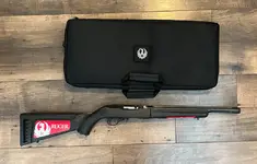 Ruger 10:22.webp