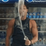 IMG_2497.gif
