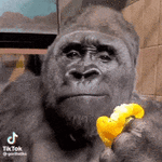 IMG_9916.gif