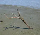 1000010486.webp