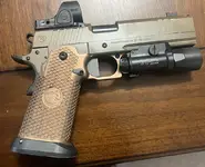 Nighthawk sandhawk