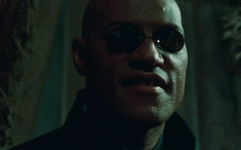 1791324203196.gif