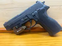 Sig P226 w/ 2 magazines