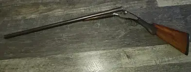 Shotgun