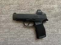 Sig P365XL - Off Roster - Holosun