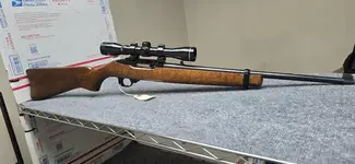 Ruger 10/22 in wood