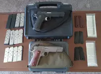 1911's, both 5", both .45ACP. 1) Springfield 1911-A1 Loaded Stainless. 2) Sig 1911 TACPAC. Long Beach