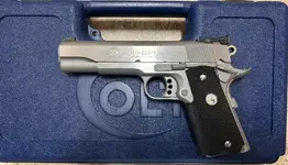 Colt image 2.webp