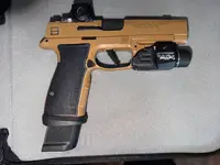Sig Sauer P365 DH3 AXG Off Roster - SFV