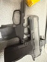 P365