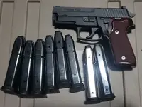 Sig P229, S&W 59, Walther PPK/s, Uberti 10mm