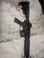 Delton 556 chambered