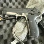 SIg Sauer Mosquito MOS-22-RT