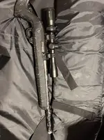Ruger carbon 10/22