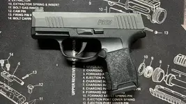 Sig Sauer P365