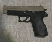 Sig Sauer P227