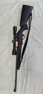 Remington Model 597 Magnum
