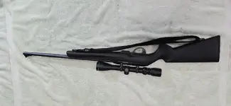 Remington Model 597 .22 Win. Mag.webp