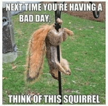 1736503684115.png