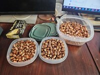 40 caliber 180 and 165 projectiles - Bakersfield
